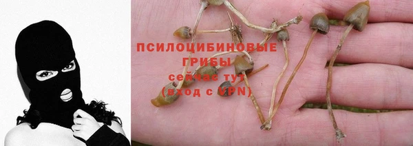 амф Абдулино