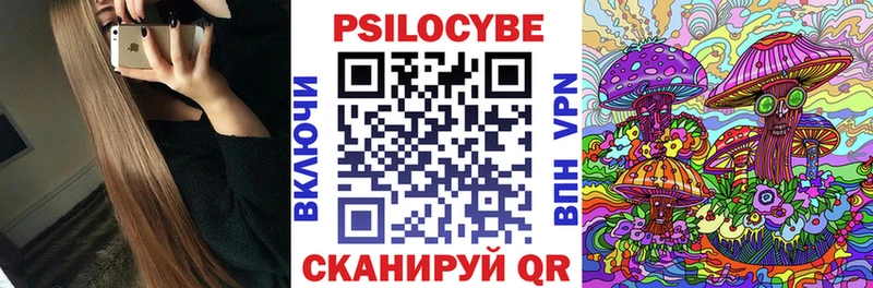 Галлюциногенные грибы Cubensis  Тайга 